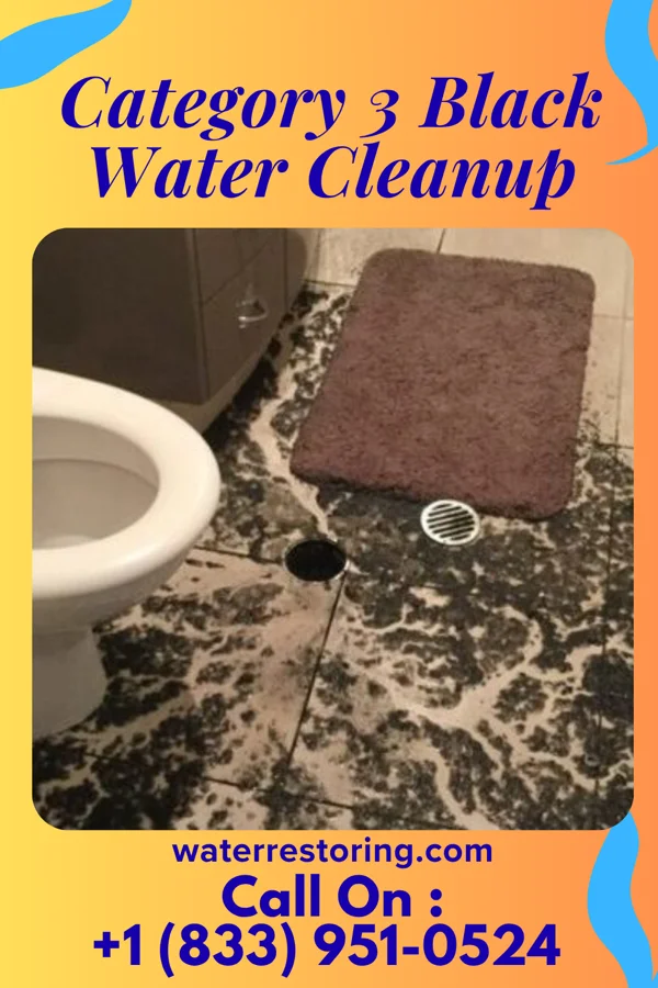 Category 3 Black Water Cleanup in Paducah, KY